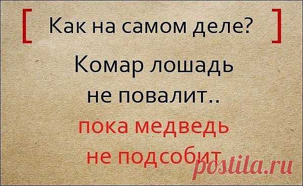 Народная мудрость