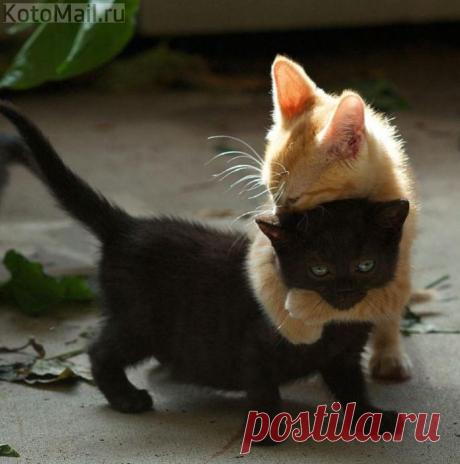 Счастье ты моё!