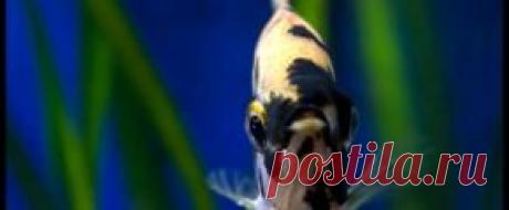 Мирный - Part 3