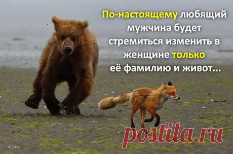 Афоторизмы dj_talay'a