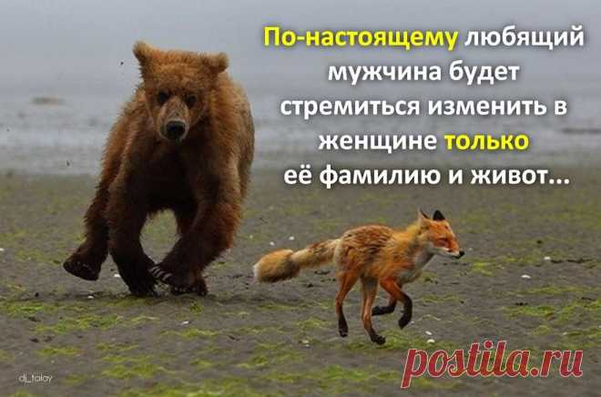 Афоторизмы dj_talay'a