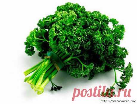 Интересные факты о петрушке и сельдерее.