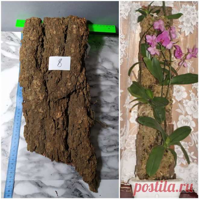 Орхидеи Ржев Юлия Блок для орхидей, лиственница