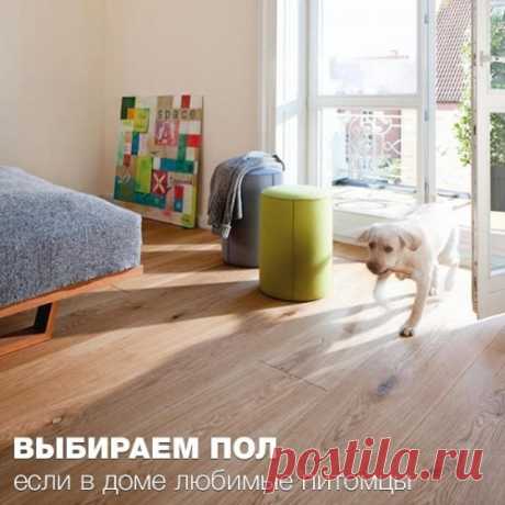 Выбираем напольное покрытие, если в доме собака или кошка Когда владельцы домашних животных, особенно собак, выбирают напольное покрытие, они обращают внимание не только на дизайн и практичность, но и на комфорт и безопасность для питомца.