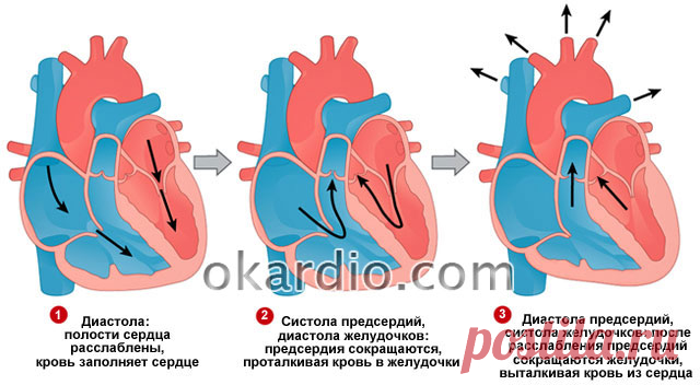 Если нижнее давление высокое что принимать | Здоровье Сердца