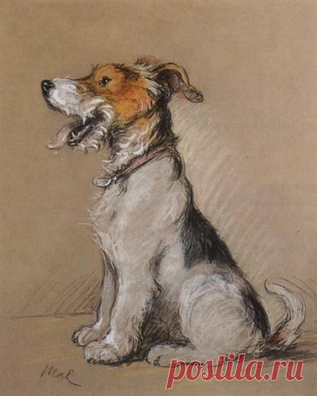 Lucy Dawson Terrier Art (this one is a Fox Terrier) | what I like