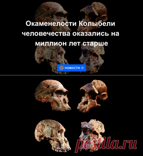 29-6-22-Окаменелости Колыбели человечества оказались на миллион лет старше - Новости Mail.ru