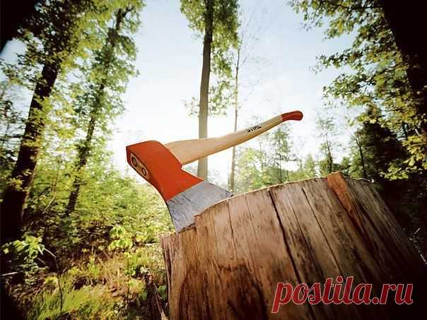 ПРИТЧА «ЛЕСОРУБЫ»

Ежегодный мировой чемпионат по рубке леса проводился в британской Колумбии. Финалистами были канадец и норвежец.

Их задача была такова. Каждому из них отводился определенный участок леса. Победителем становился тот, кто смог бы повалить наибольшее количество деревьев с 8 утра до четырех часов дня.

http://homeswork.ru/