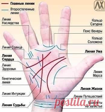 Профессия на ладони / Взлом логики