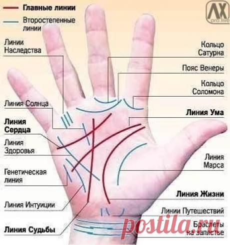Профессия на ладони / Взлом логики
