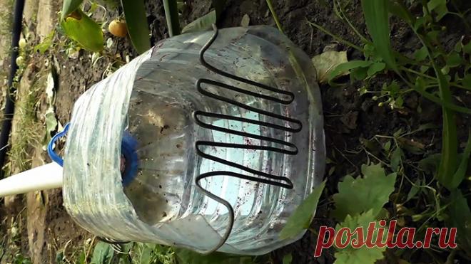 Хитрый сборщик вишни из ПЭТ бутылки за 5 минту