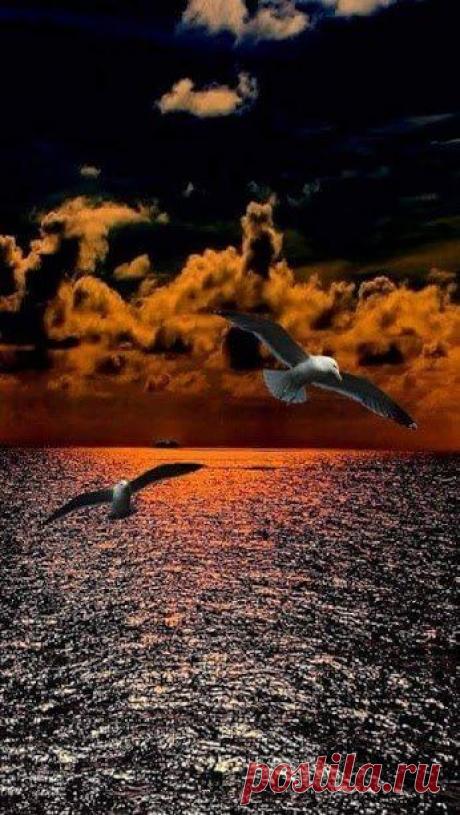 Интересные новости