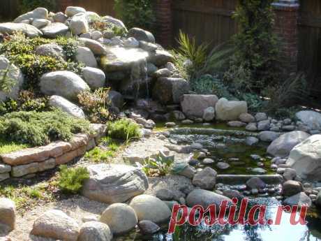 Альпийские горки. Идеи для сада - Садоводка