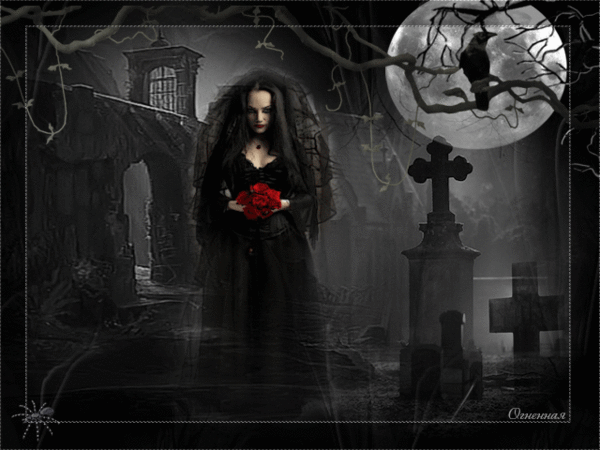 Черная вдова
Она появлялась в сумерках
там, где прошли полки
там, где стонали души,
валялись обугленные котелки.