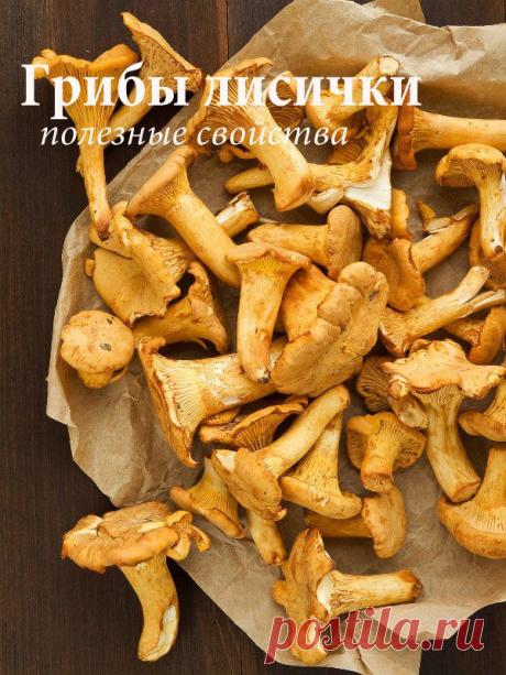 Грибы лисички. Лечение грибами лисичками и свойства