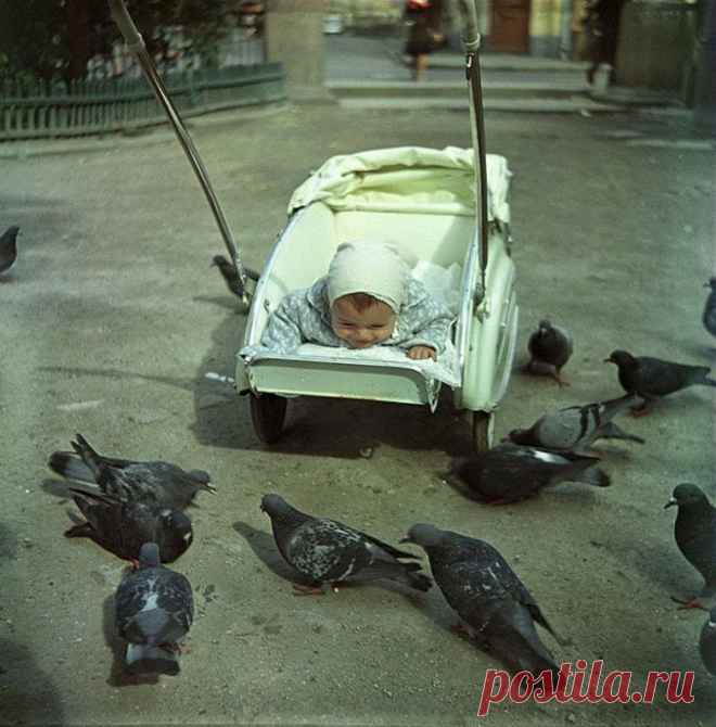Фотографии из «Огонька» / Назад в СССР / Back in USSR