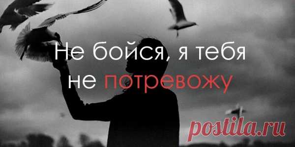 Не бойся, я тебя не потревожу
Не бойся, я тебя не потревожу — Ни сном, ни духом, ни тычком в плечо, Ни странным сходством с девушкой прохожей, Ни холодком, забравшимся под кожу, Ничем, что можно выдумать ещё. Мы не столкнёмся в утреннем трамвае, Нас не прижмёт друг к другу вдруг метро — Метро здесь нет. Я утром, замерзая, Жду свой автобус. […]
Читай пост далее на сайте. Жми ⏫ссылку выше