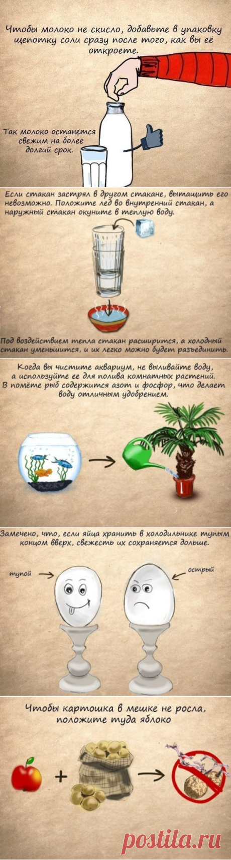 Полезные советы хозяйкам