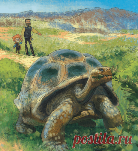 Мы уже говорили, что у нас вышла новая книга с Чевостиком &quot;Динозавры и другие пресмыкающиеся&quot; ( Будем знакомить вас с ней еще пристальнее. Выбирайте и пишите в комментариях, какую главу хотите прочитать: - Гаттерия. Родственница ящериц - Комодский варан. Огромная ящерица - Хамелеон. Как он меняет цвет? - Аллигатор. Чем он отличается от крокодилов? - Змеи. Главная особенность.