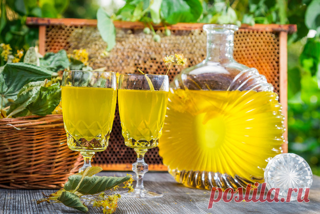 Рецепты ставленной медовухи без дрожжей и кипячения
