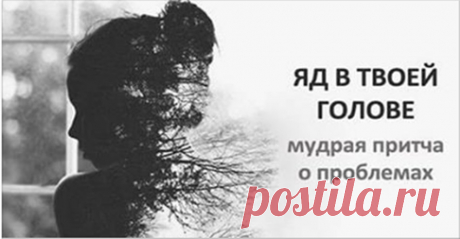 Мудрая притча о проблемах 


 
В древнем Китае, девушка, которая выходила замуж, жила в доме своего мужа и служила ему и его матери.
Так случилось, что одна девушка, после свадьбы была не в состоянии выносить постоянные упреки…