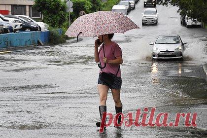 Десятки тысяч россиян остались без света из-за ливней. Во Владивостоке десятки тысяч жителей остались без света из-за разбушевавшейся непогоды. Об этом сообщает пресс-служба прокуратуры Приморского края. Из-за ливня часть автодорог в российском регионе оказались затоплены. В двух детских садах эвакуировали детей. На 16 улицах отключилось энергоснабжение.