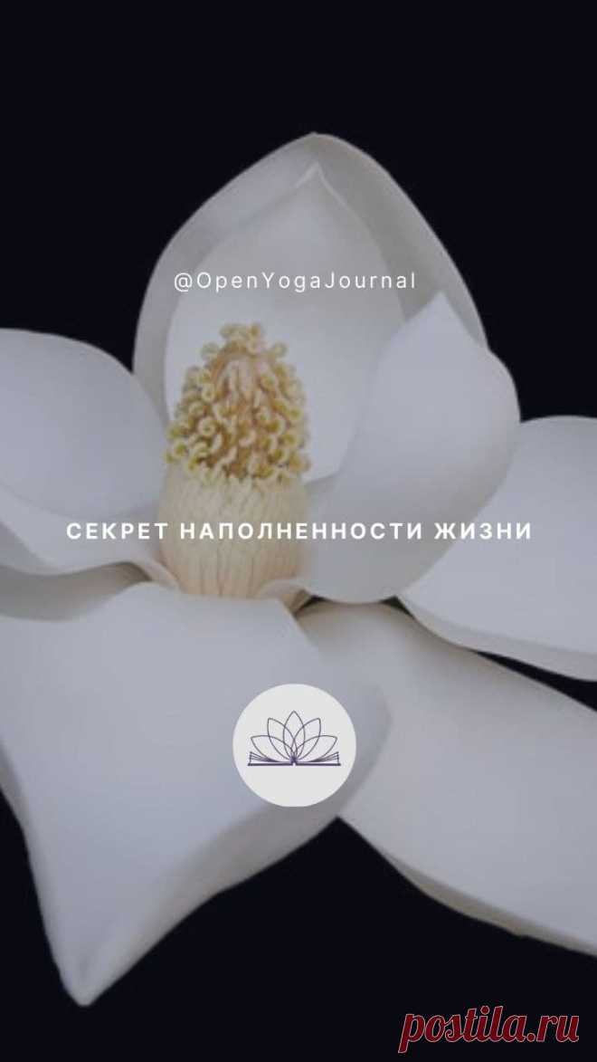 Большинство из нас, устав от обыденности жизни, стремится сменить место и обстановку, желая ощутить новизну и разнообразие. Но в какой-то момент, обнаружив, что мы исследовали уже многое во внешнем мире, у нас возникает ощущение однообразности.