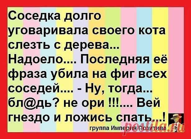 Выпуск №6316 - выпуск анекдотов сайта вокруг смеха