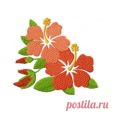 Hummingbird and Flowers 10 Machine Embroidery Designs set 4x4 | eBay