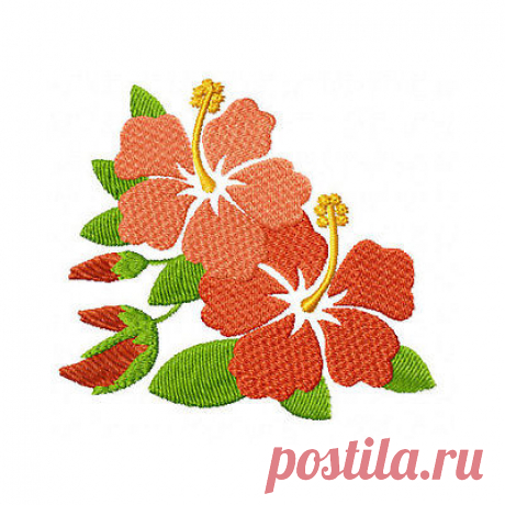 Hummingbird and Flowers 10 Machine Embroidery Designs set 4x4 | eBay