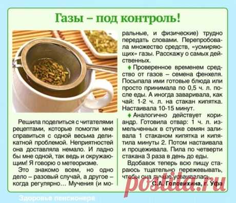 Газы - под контроль!