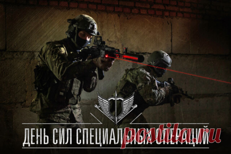 «Профессионалы высшей пробы» —
О Вас так в народе говорят.
СПЕЦНАЗу под силу любые задачи,
Вы лучшая защита для нас.