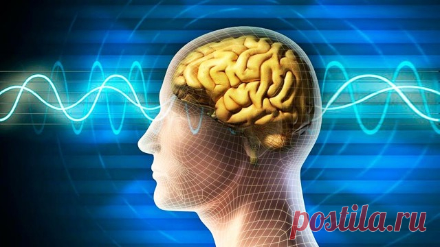 ​Почему нужно развивать память и почему ее слабость - наше проклятие — Психология отношений