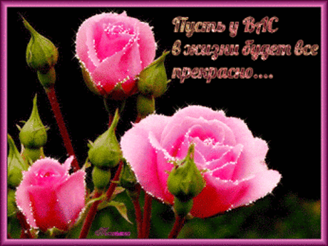 Таяна Цветкова – Google+
