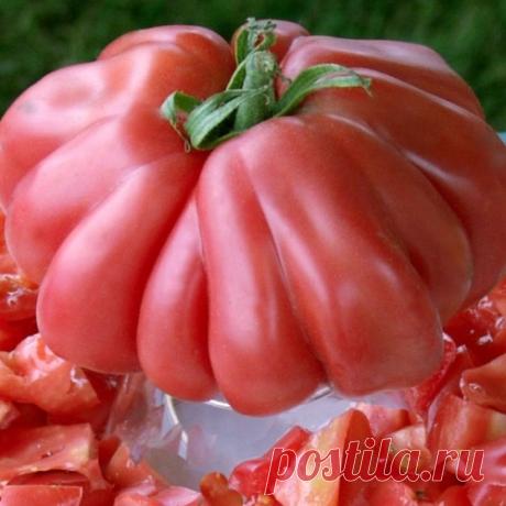 Ребристые томаты – самые вкусные для салатов