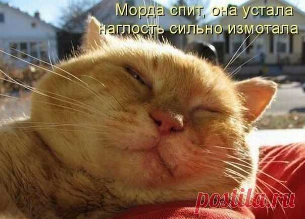 ,