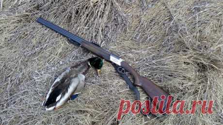 Эксплуатация ружья ТОЗ-34. Рассмотрим, как взаимодействуют детали механизма ТОЗ-34 при соединении стволов со ствольной коробкой. Соединить стволы со ствольной коробкой очень просто. Необходимо вправо отвести рычаг запирания и максимально выдвинуть все выталкиватели (и патронов, и гильз). Затем нижние концы выступов муфты приставить к верхней части выемов ствольной коробки и плавно совместить выступ с выемом. Казённая часть стволов войдёт в ствольную коробку. Фигурные выемки ствольной муфты…