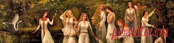 Токарева Надежда о жизни и о работе.

"С самого рождения рядом со мной были старцы. Я считала, что раз рядом со мной есть старцы, то и со всеми бывают старцы. Когда уже стала подрастать, то поняла, что не со всеми они бывают.

Они мне рассказывали о мироздании, о строении мироздания, о том какие должны происходить перемены здесь в данном пространстве, показывали мерностные структуры, показывали разные реальности, рассказывали, как в них ориентироваться.