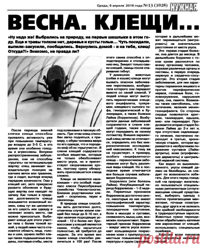 Весна. Клещи...