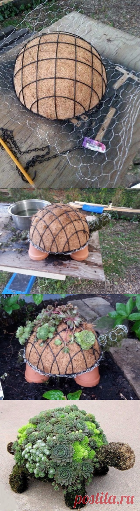 Чудо-черепаха своими руками.