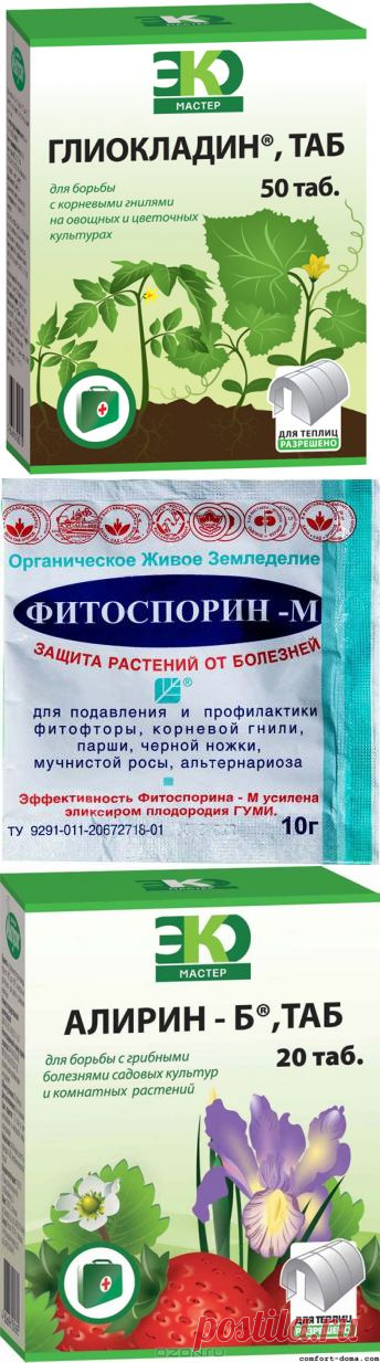 Биопрепараты от болезней растений. Как побороть вредителей. | Самоцветик