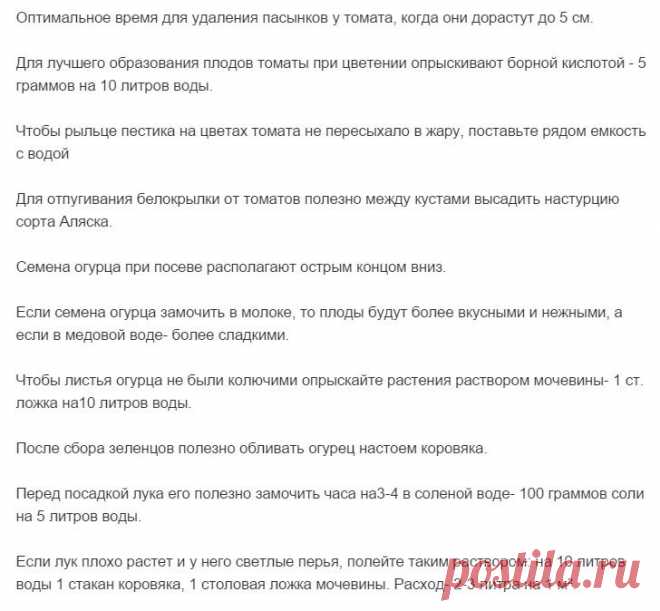 Gallery.ru / Фото #36 - Полезные советы - Engelis