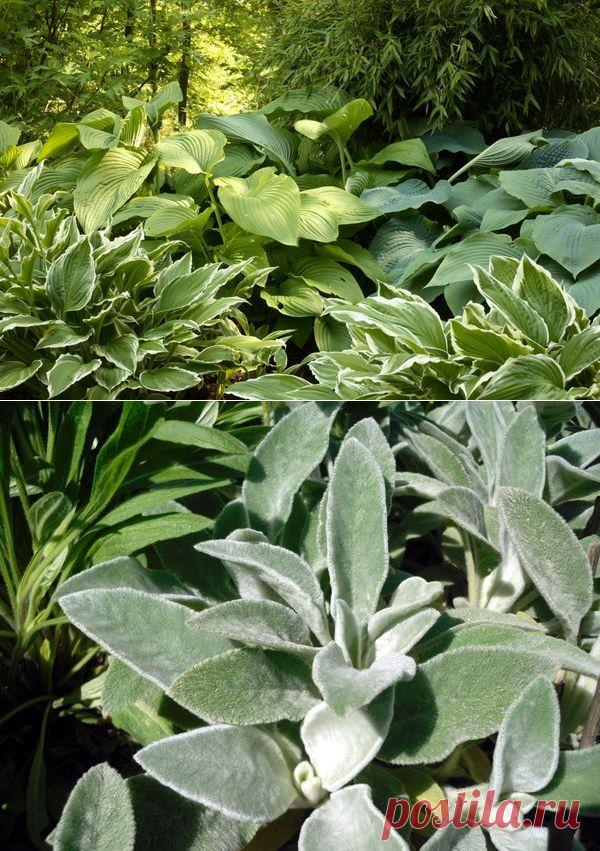 Идеи для "ленивого сада": выбираем стиль и неприхотливые растения