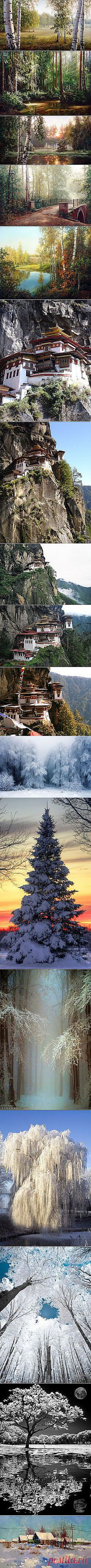 Любовь @@@@@@: Природа | Постила.ru