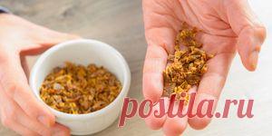 Лечение простуды народными средствами : Народная медицина : Здоровье : Subscribe.Ru