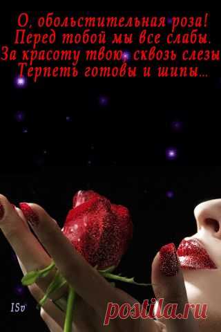 Женский журнал - "Ксюша" - Афоризмы, цитаты, фразы в картинках