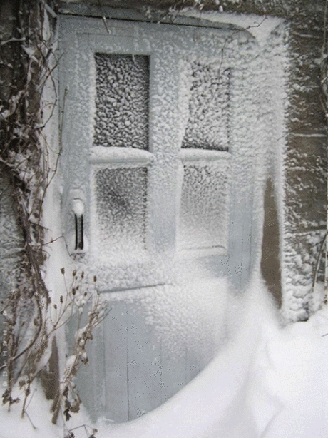 Живые фотографии – Сообщество – Google+
