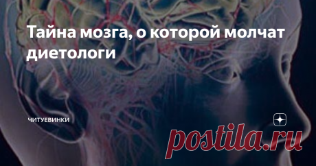 Тайна мозга, о которой молчат диетологи Мозг нуждается в правильном уходе не меньше, чем кожа лица и волосы. А знаете ли вы, мозговладельцы, что такое – правильный уход за мозгом?
Чем его кормить? Что он любит, а что не любит? Какие нагрузки ему полезны, а какие – вредны? Как его чистить? Почему он помнит всякую дичь и не помнит пин-код от вашей банковской карты?
Полезными советами по уходу за мозгом делятся авторы книги «Уход за