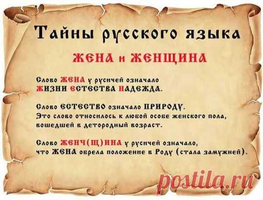 (1) Одноклассники
