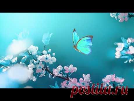 3 Hours Morning Relaxing Music 🎵 Meditation Music, Stress Relief Music (Romantic Morning)
